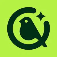 Kiwibit logo