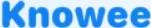 Knowee.ai logo