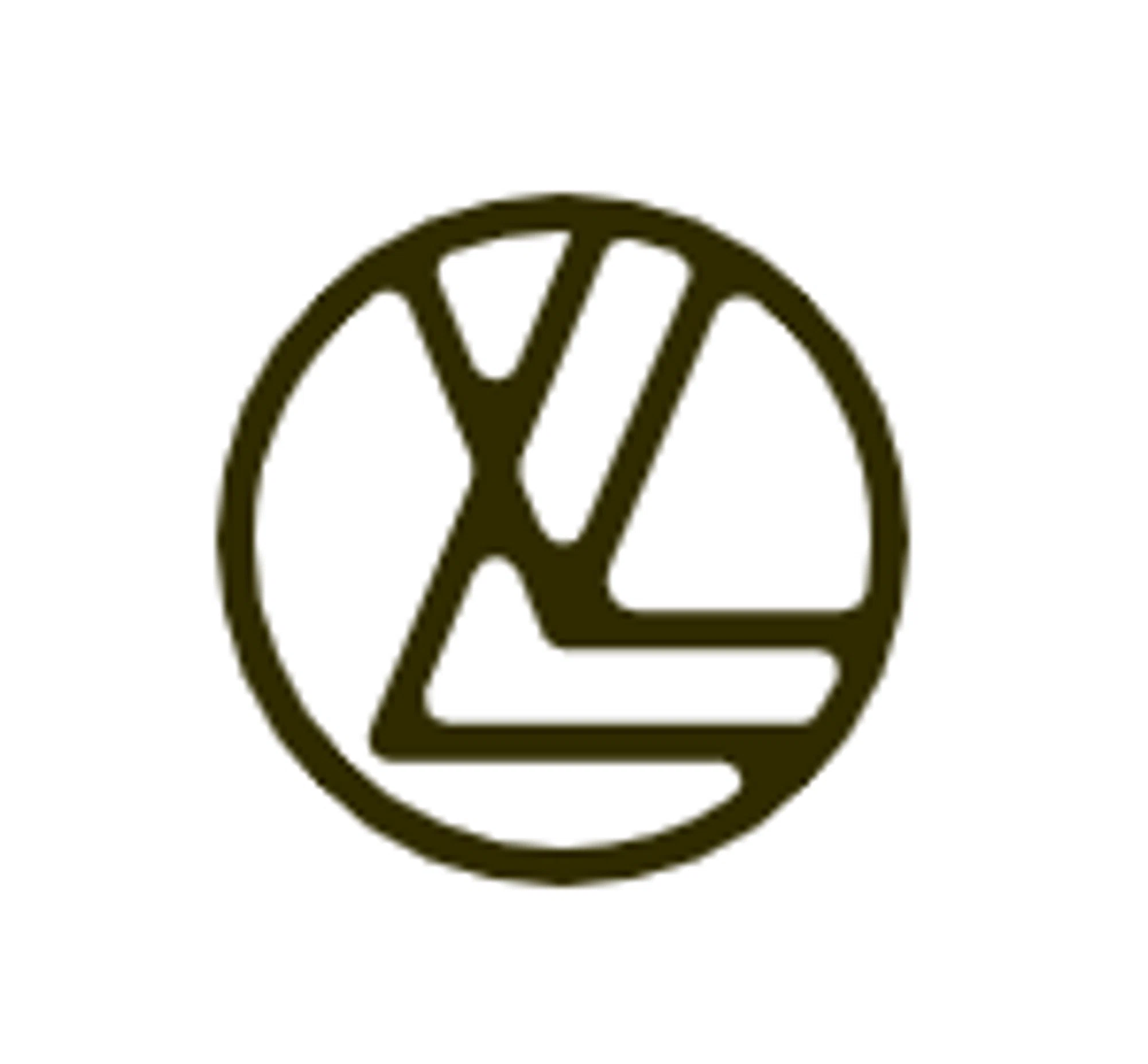 lilivie logo