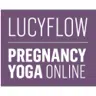 Lucy Flow logo