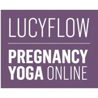 Lucy Flow logo