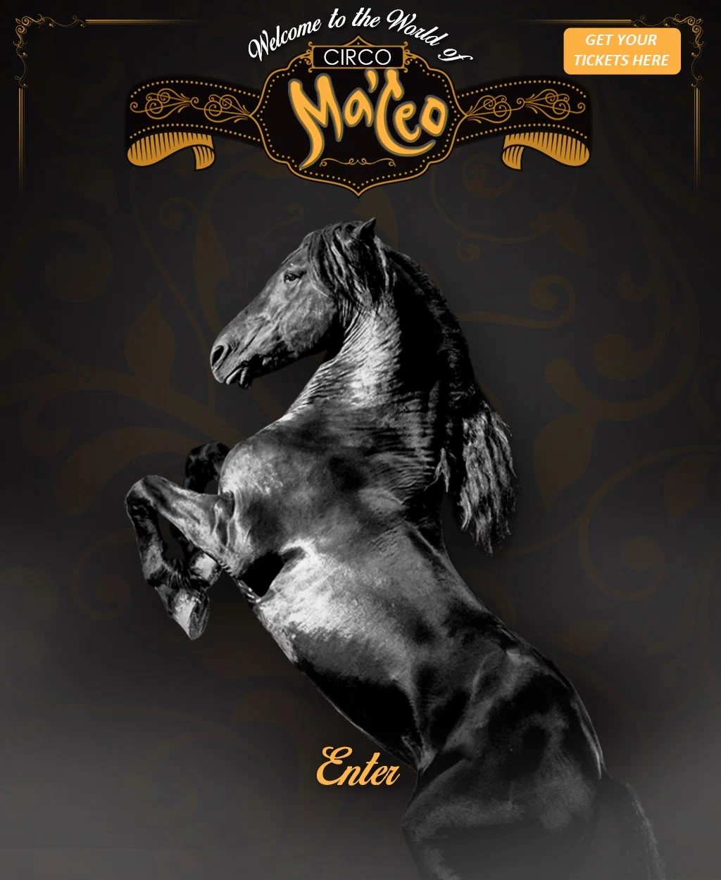Ma'ceo Circo logo