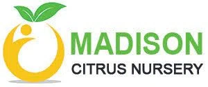Madison Citrus Nursery logo