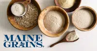 Maine Grains logo