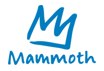 Mammoth Mountain promo code
