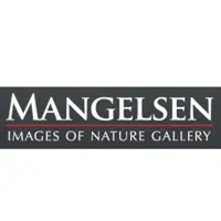 Mangelsen logo