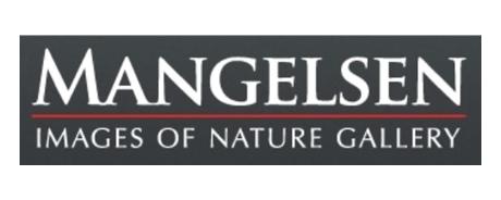 Mangelsen coupon code