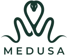 Medusa Case logo