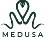 Medusa Case logo