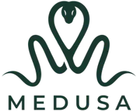 Medusa Case logo