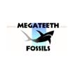 MegaTeeth promo code