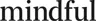 Mindful Store logo