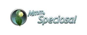 MmmSpeciosa logo