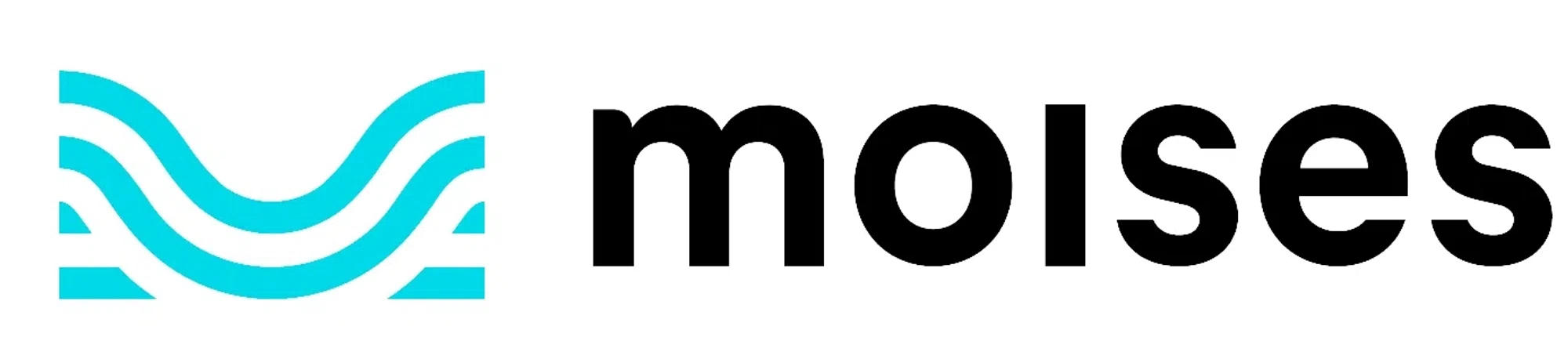 Moises logo