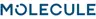 MOLECULE Sleep logo