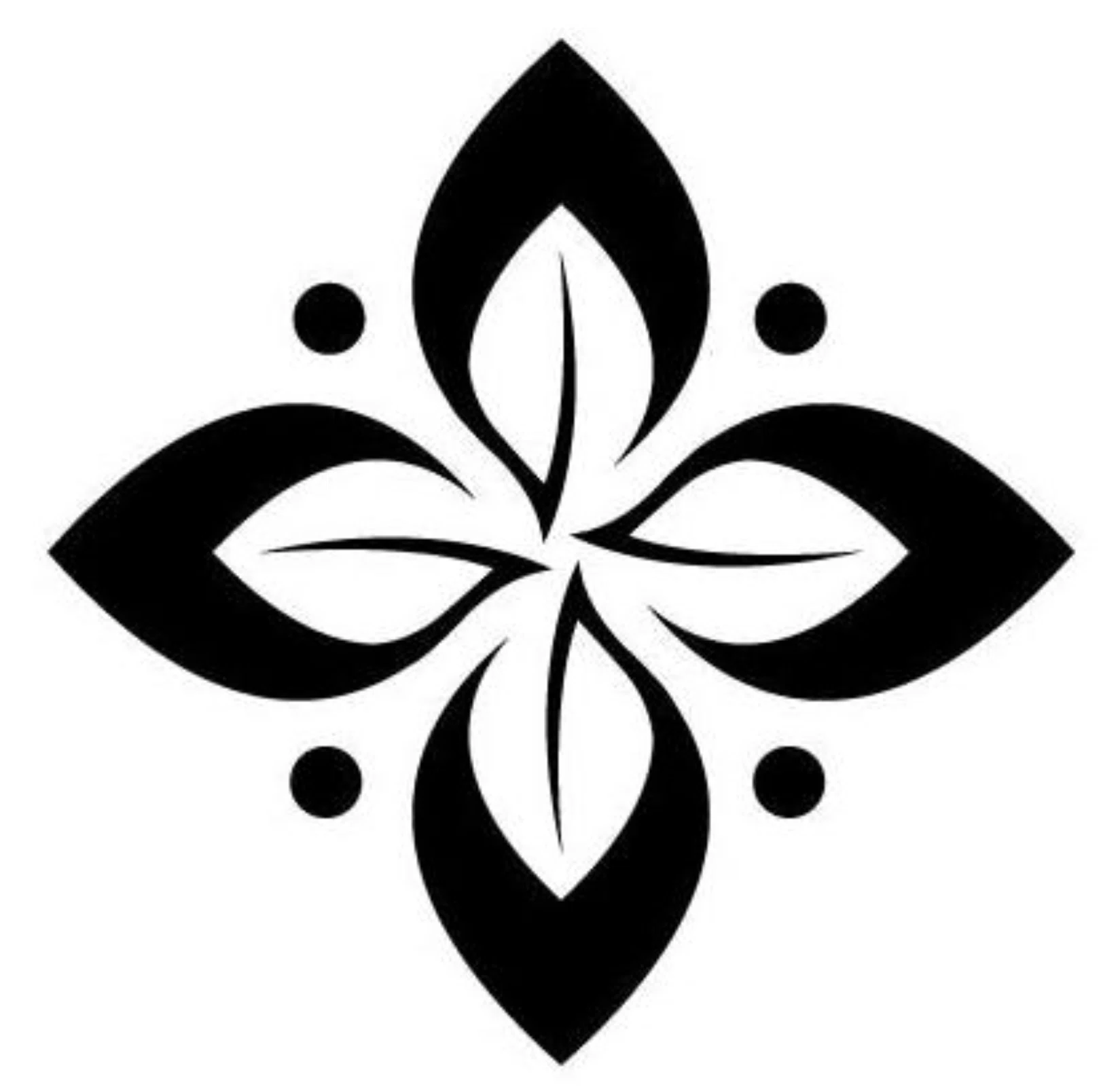 Nature's Skin And Body logo