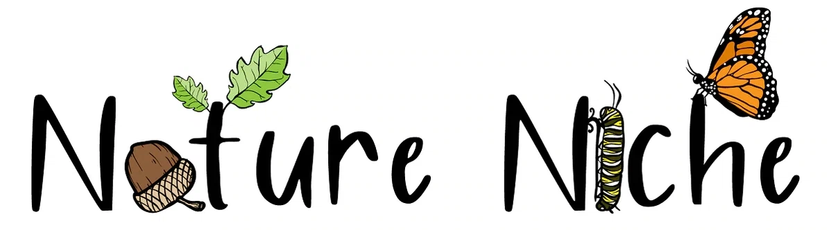 Nature Niche logo