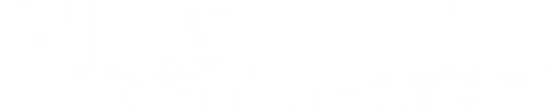 Nested Treestand Systems logo