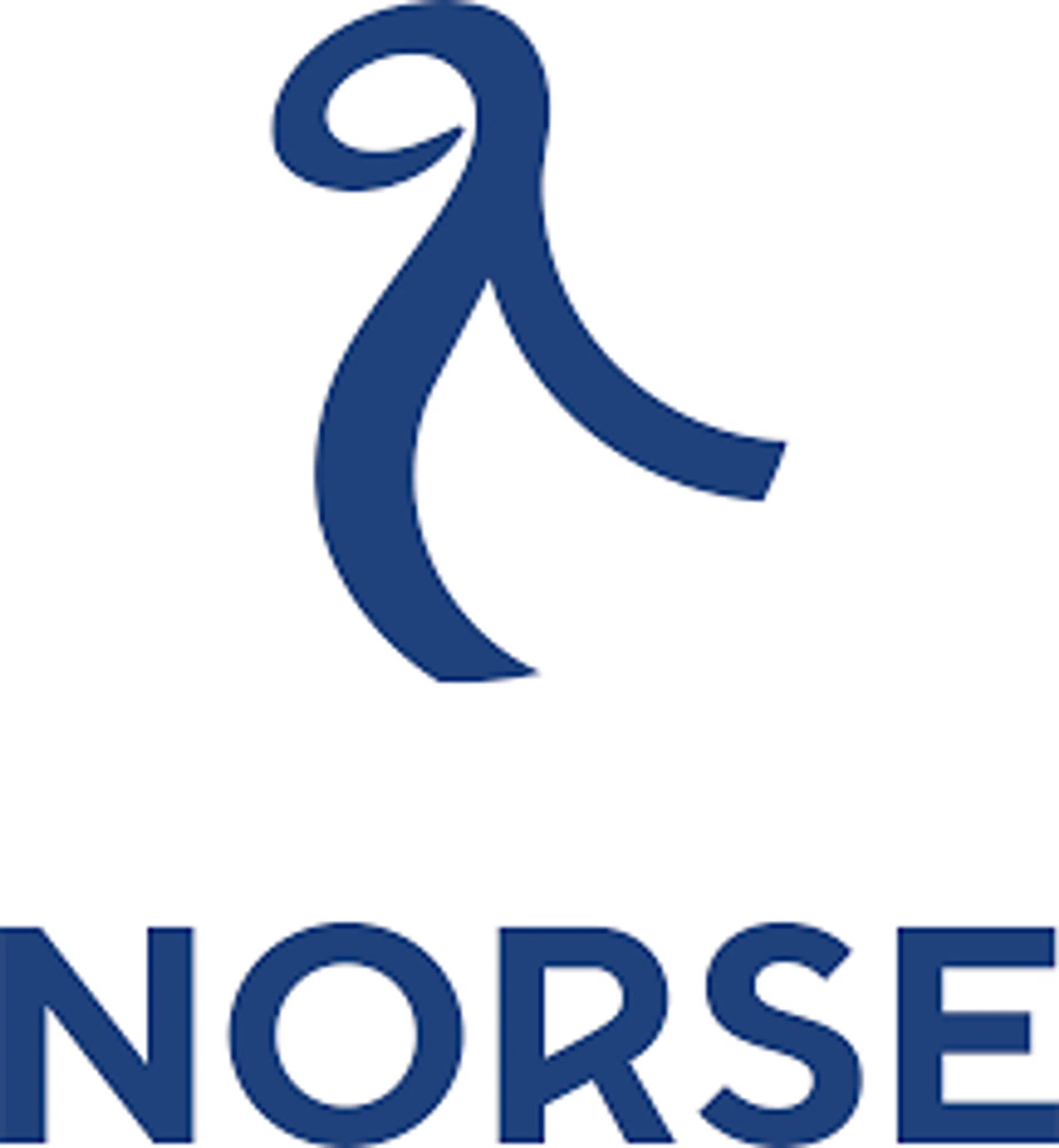 Norse Atlantic Airways US logo