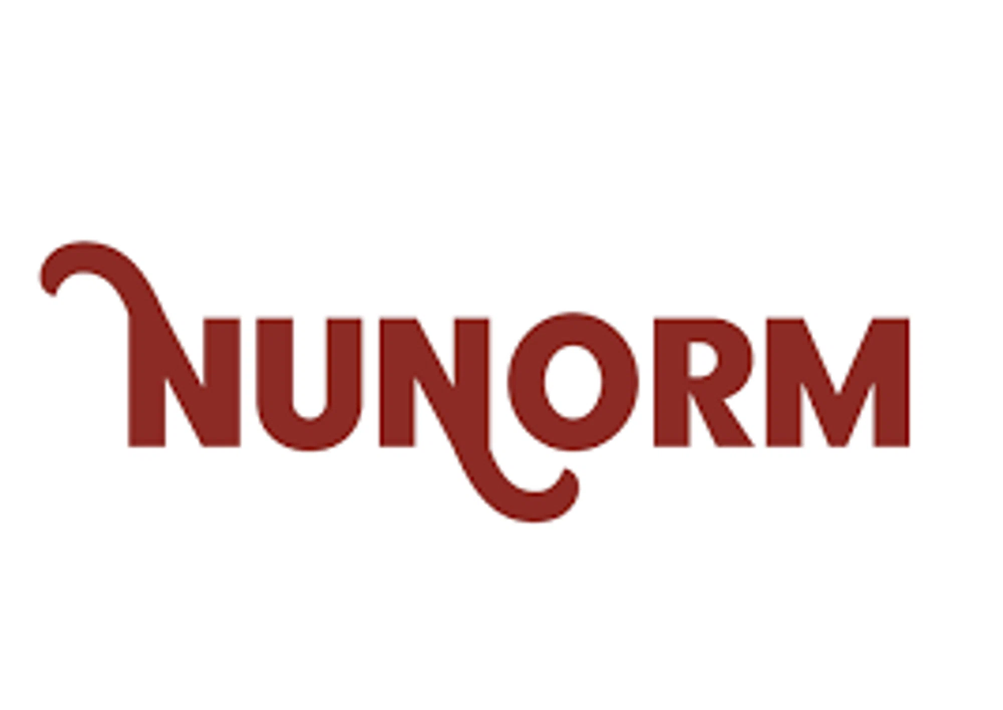 NuNorm logo