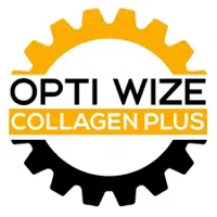 OptiWize logo