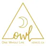 OWL Venice logo