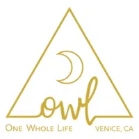 OWL Venice logo