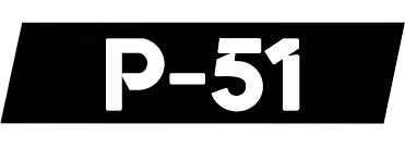 P-51 Bikes logo