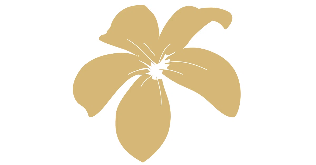 Pacific Touch NYC logo