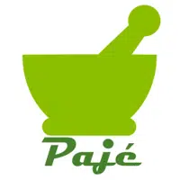 Pajé logo