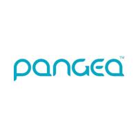 Pangea Money Transfer promo code