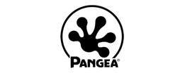 Pangea Reptile coupon code