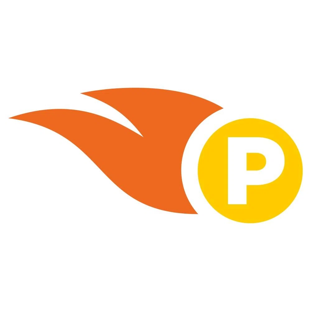 PartsFe logo
