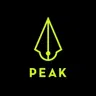 Peak Needles logo
