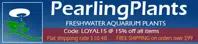 Pearling Plants logo