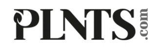 PLNTS.com logo