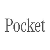 Hey Pocket AI logo
