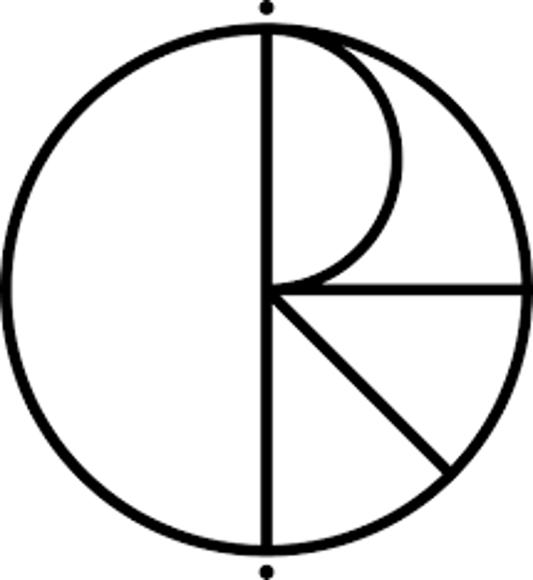 Polar Skate Co. logo