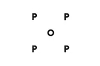 Pop Trading Company logo