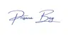 Prisana Bay logo