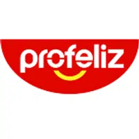 Profeliz Pool Supplies logo