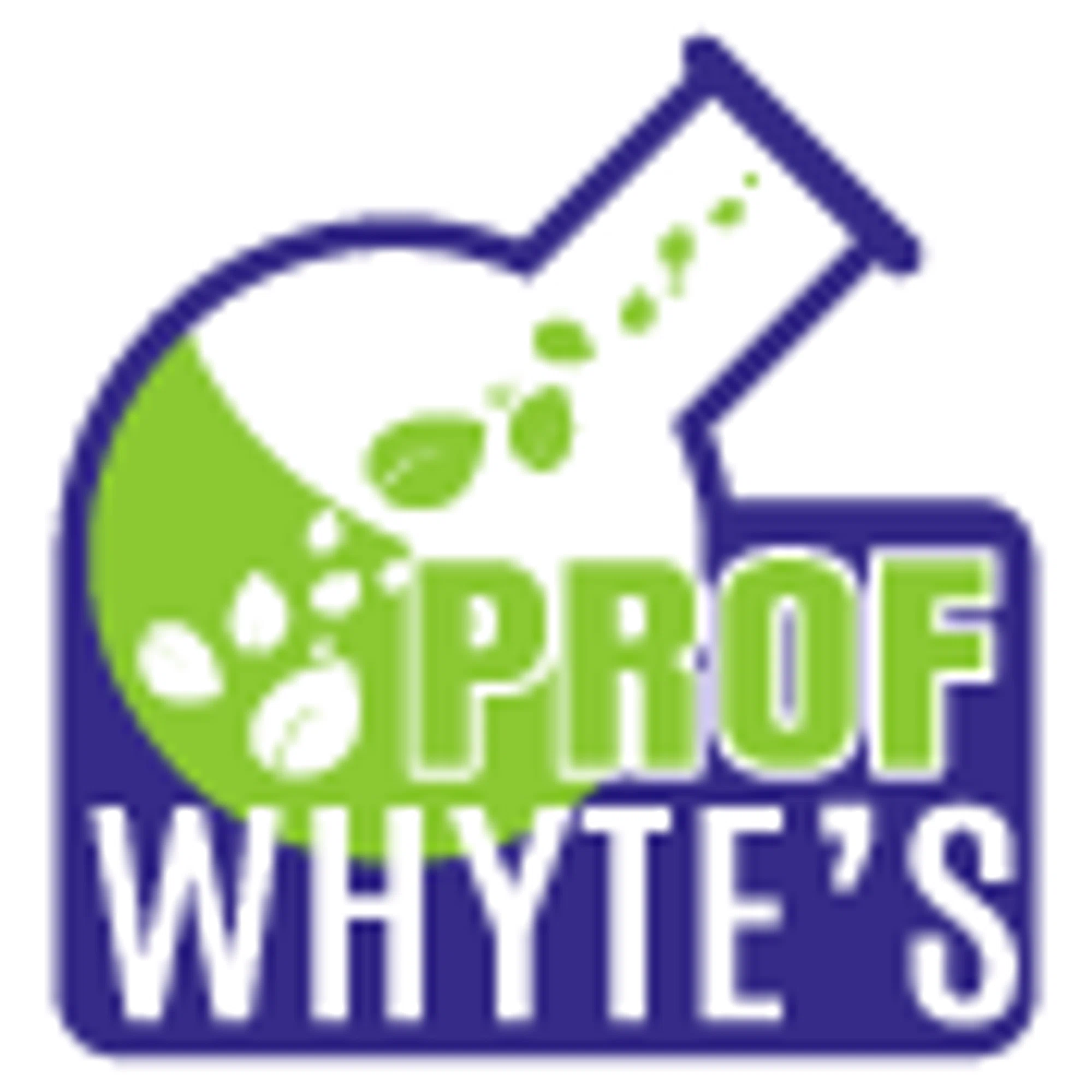 Professor Whyte’s logo