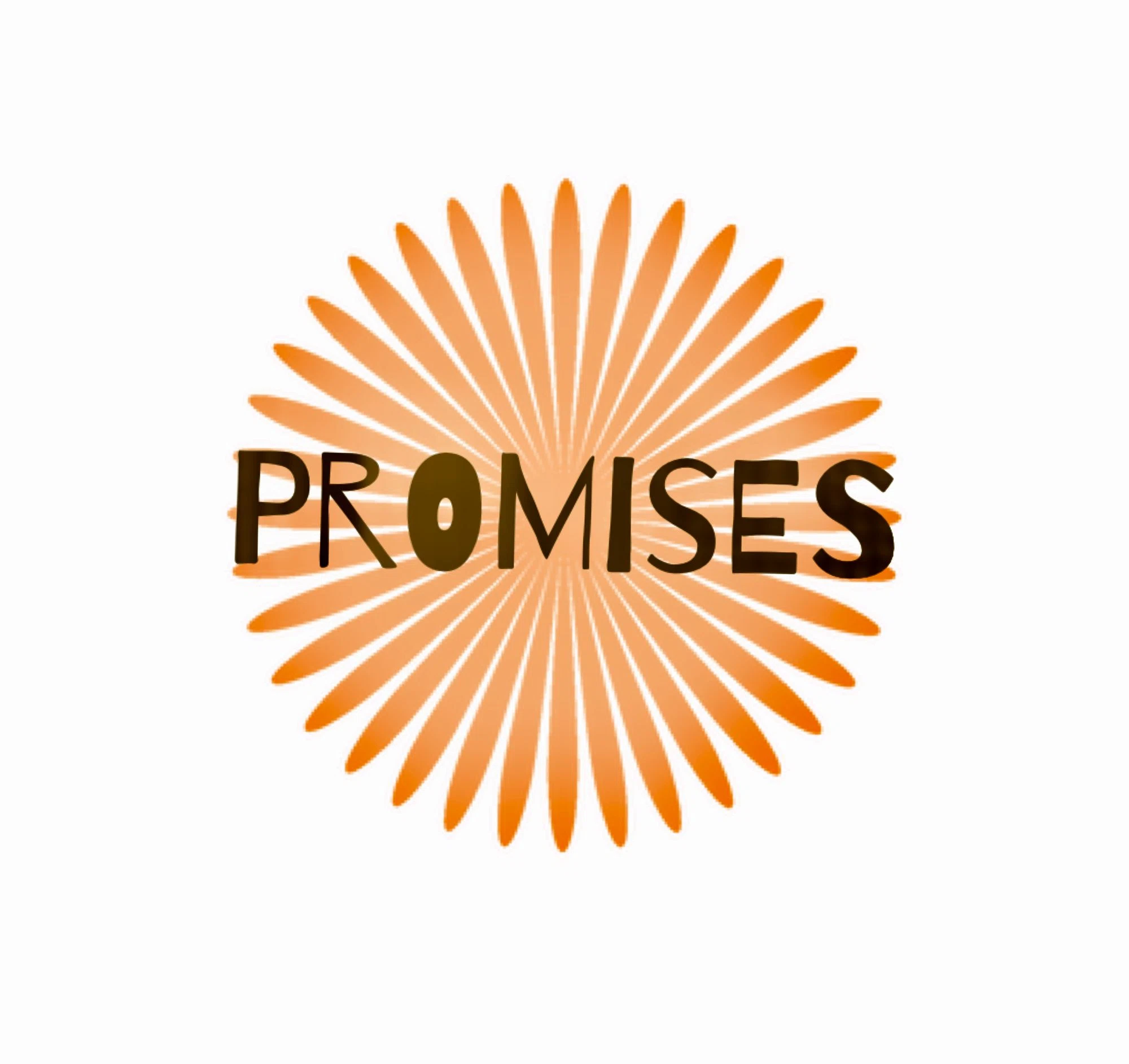Promisestorecare logo