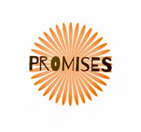 Promisestorecare logo