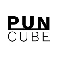 puncube logo