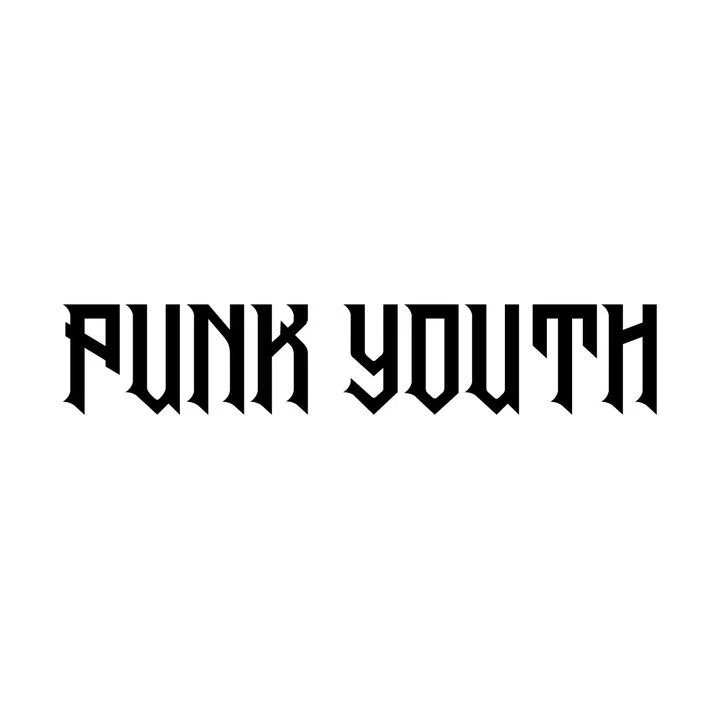 Punkyouth logo