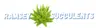 Ramsey Succulents logo