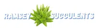 Ramsey Succulents logo