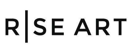 Rise Art discount code