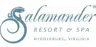 Salamander Resort logo